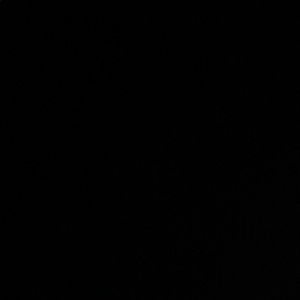 Meet your Posher, Tanner